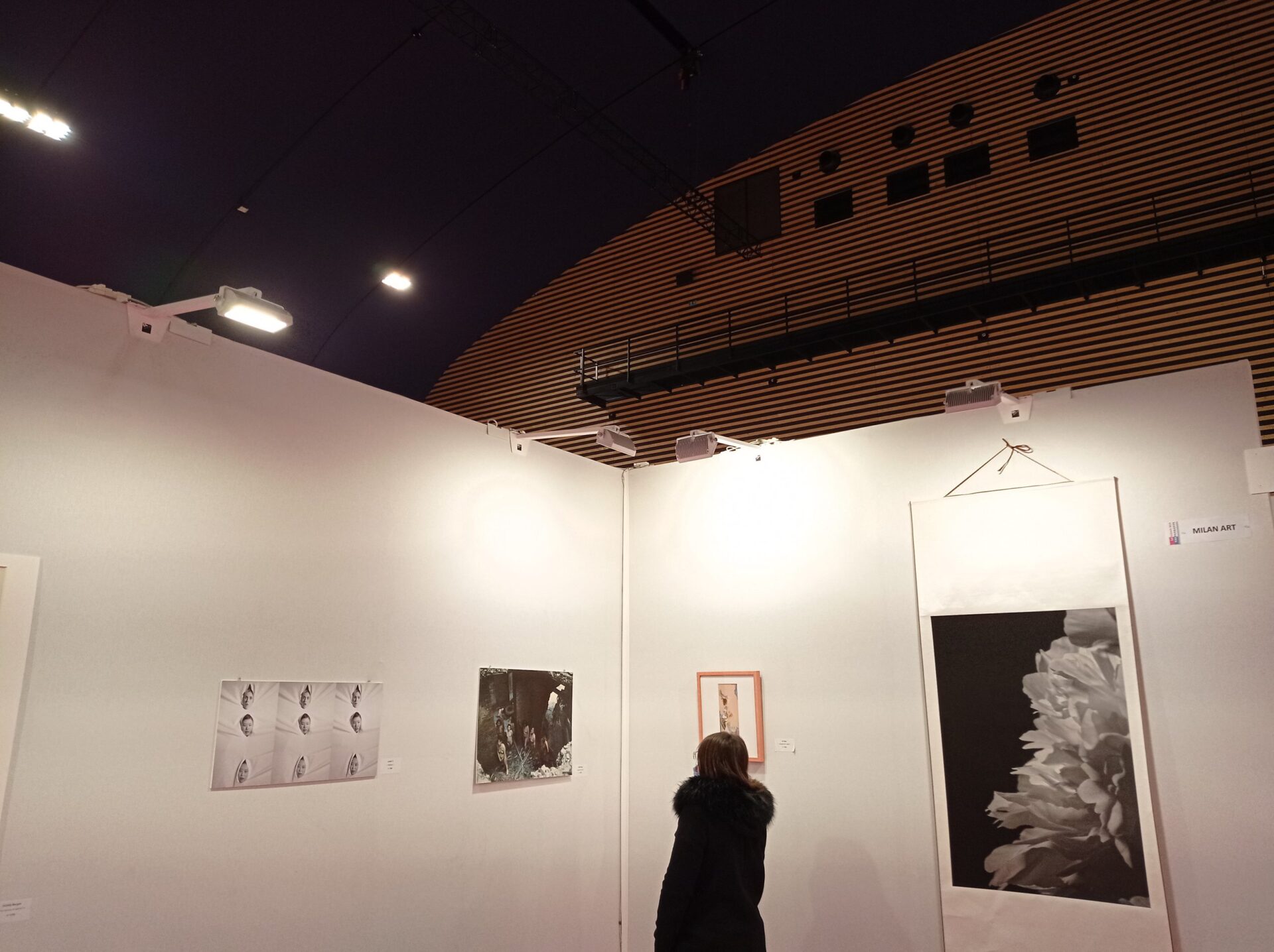 “Ruins” by Tang Ming – Salon des Artistes Independants – Paris.